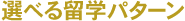 �I�ׂ闯�w�p�^�[��